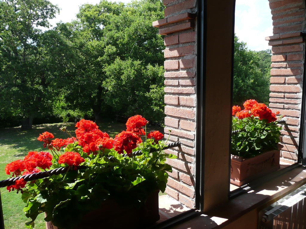 Agriturismo Colli Di Travale 몬티에리 객실 사진