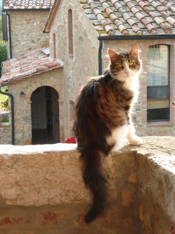 Agriturismo Colli Di Travale 몬티에리 외부 사진