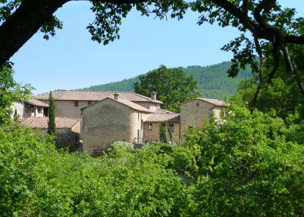 Agriturismo Colli Di Travale 몬티에리 객실 사진
